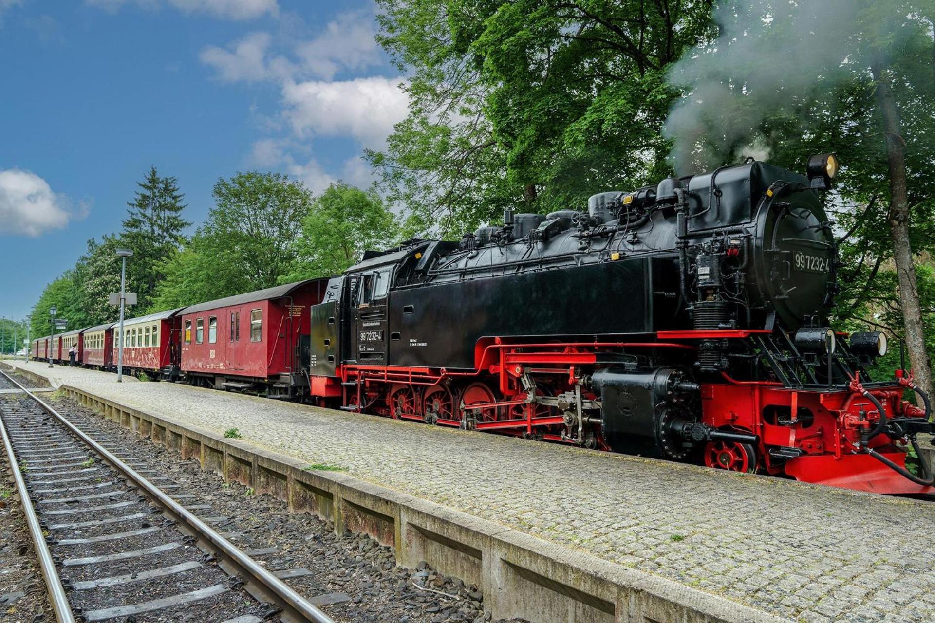 Pension Zum Hexenstieg Schierke Dış mekan fotoğraf